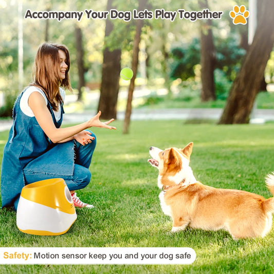 Unleash the Fun: Automatic Tennis Ball Launchers for Small Dogs - Sonic Bark