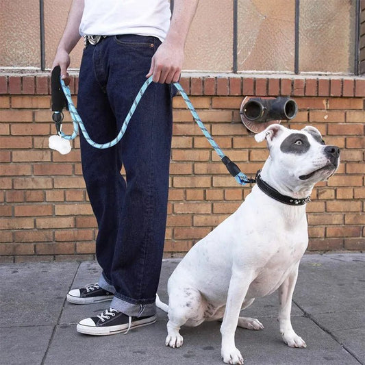 Shine Bright on Walks: Premium Reflective Leash for All Dog Sizes - Sonic Bark