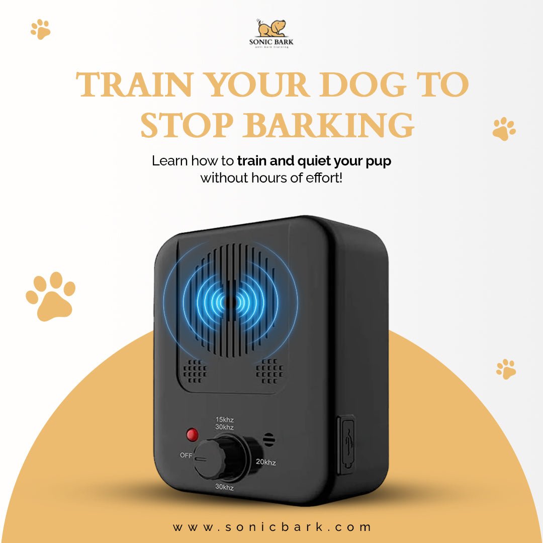 10 Proven Ways to Keep Your Dog Quiet Using an Anti-Barking Device - Sonic Bark