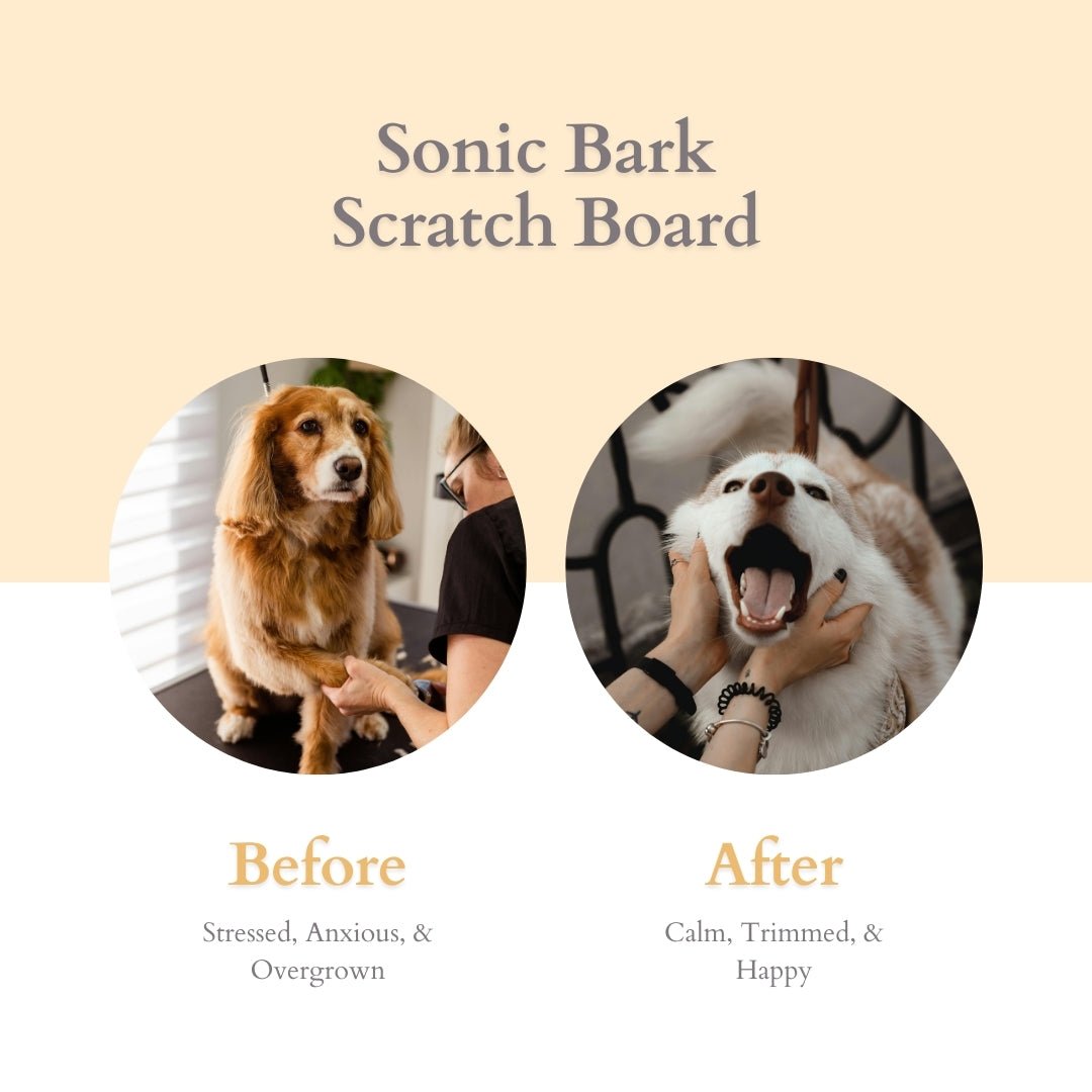 Do Dog Nail Scratch Boards Really Work? A Comprehensive Guide - Sonic Bark