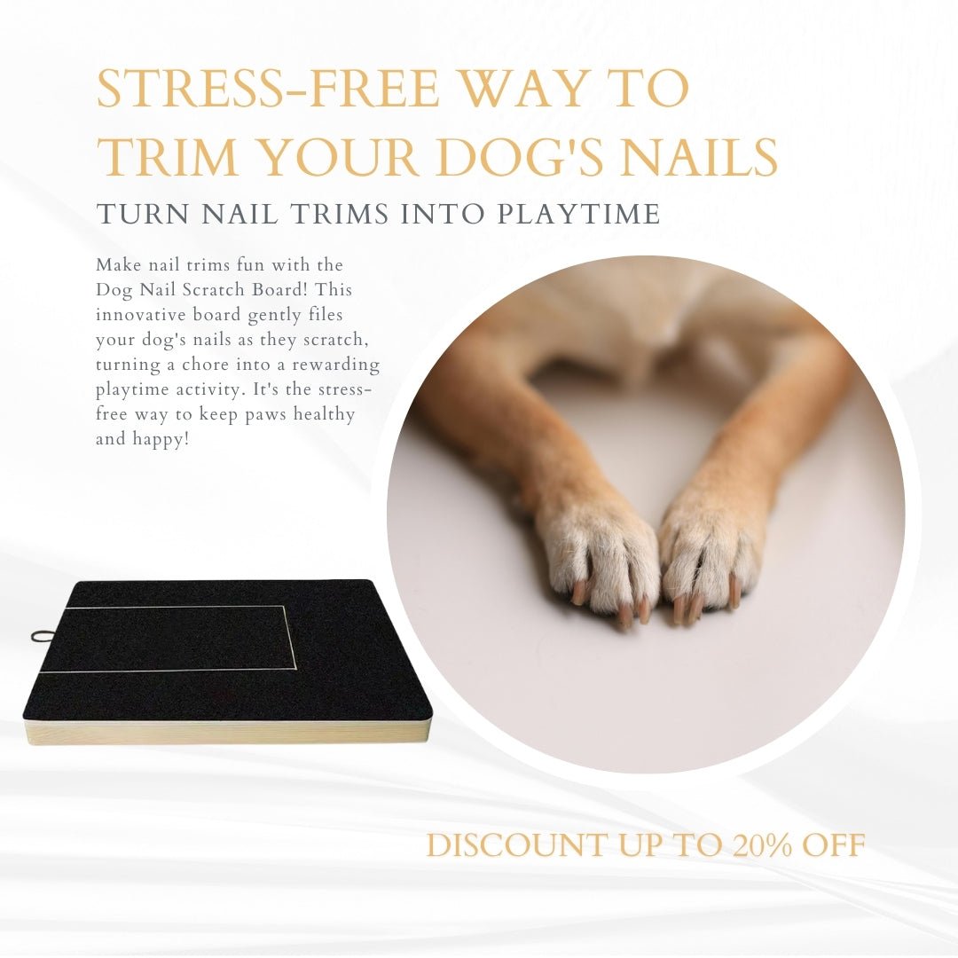 Dog Nail File Board: The Easy Way to Trim Your Dog's Nails - Sonic Bark