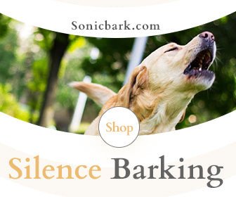 The Most Effective Way to Prepare Your Dog for Cold Weather Training - Sonic Bark