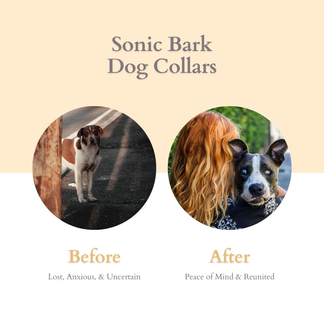 AirTag Dog Collar - Never Lose Your Furry Friend Again - Sonic Bark