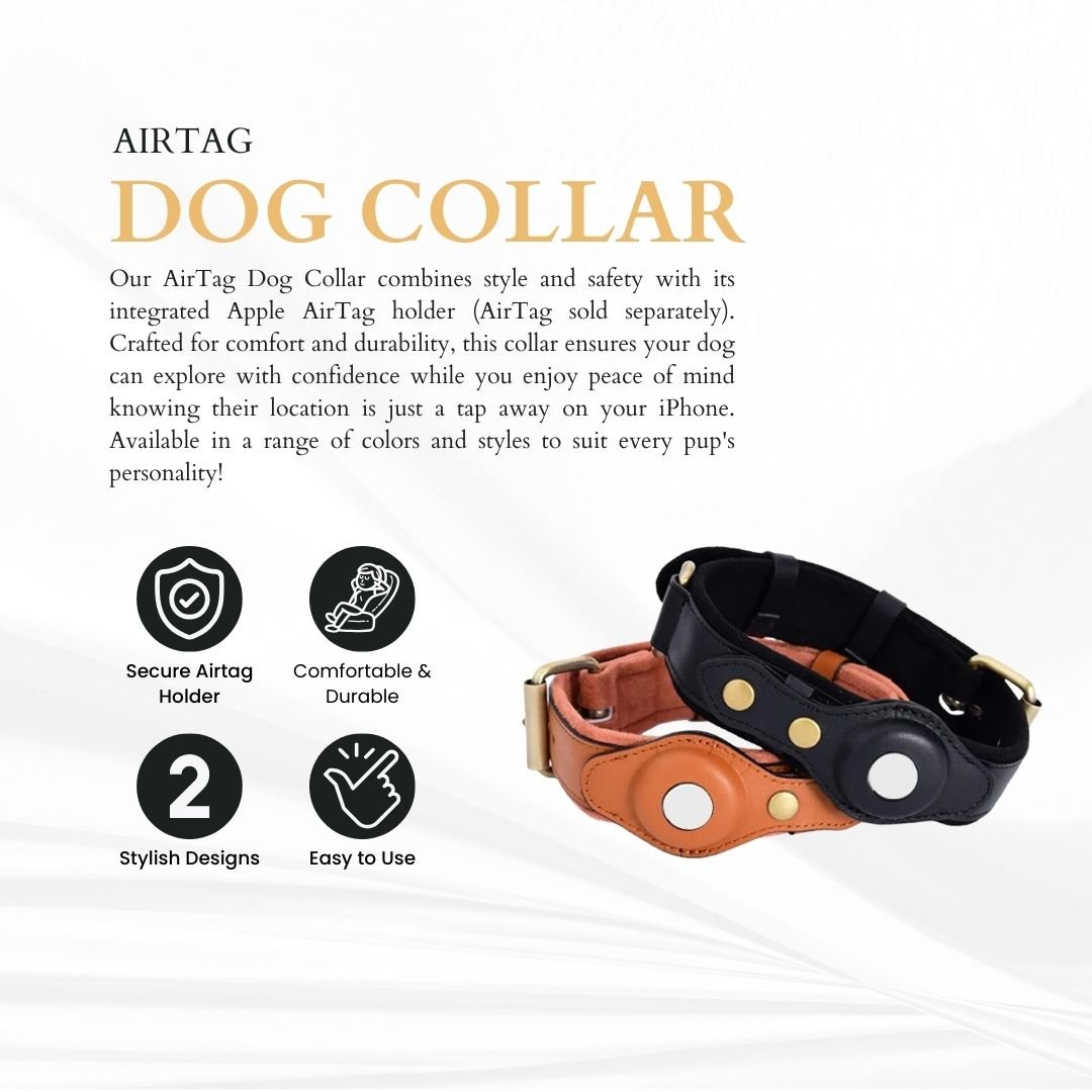 AirTag Dog Collar - Never Lose Your Furry Friend Again - Sonic Bark