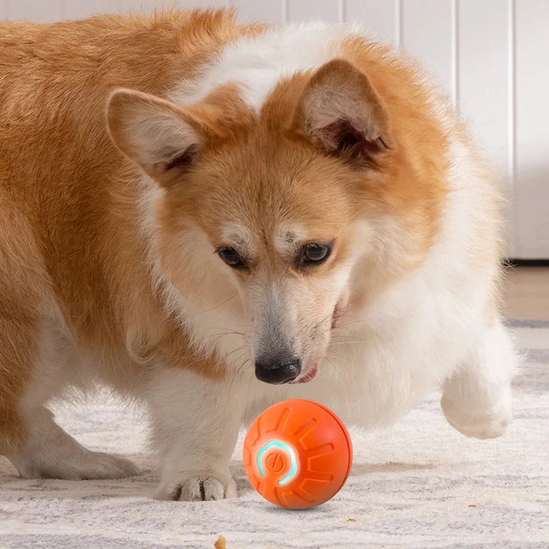 Automatic Rolling Dog Ball - Interactive Play & Exercise - Sonic Bark