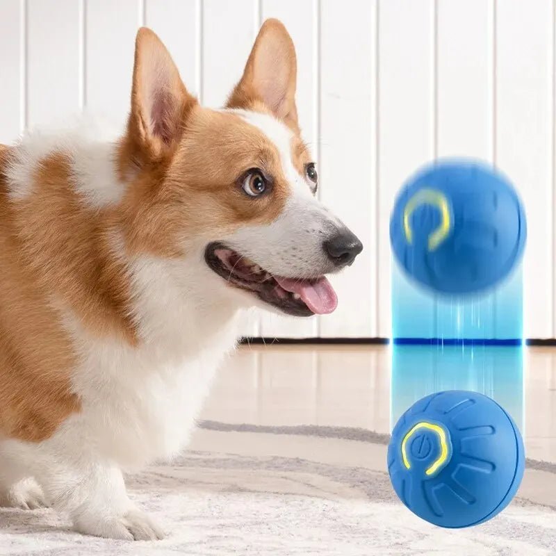 Automatic Rolling Dog Ball - Interactive Play & Exercise - Sonic Bark