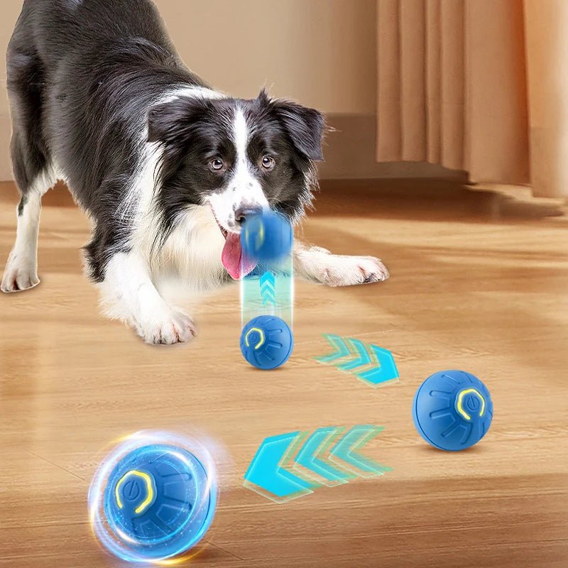 Automatic Rolling Dog Ball - Interactive Play & Exercise - Sonic Bark