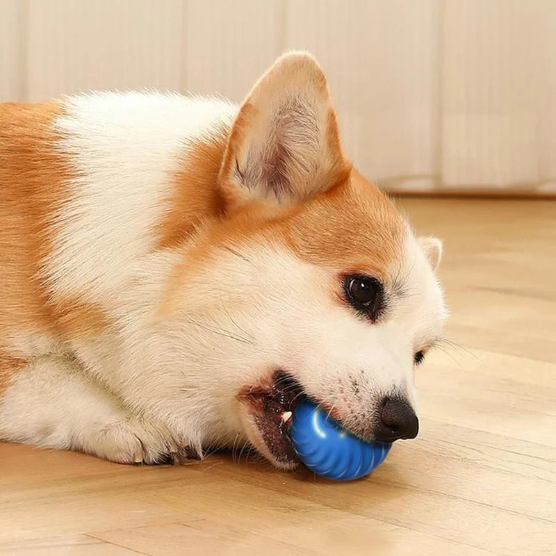 Automatic Rolling Dog Ball - Interactive Play & Exercise - Sonic Bark