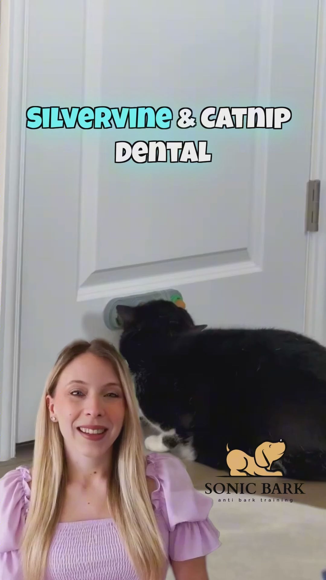 video testimonial of silvervine catnip dental toy